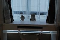 南地·海江南样板房