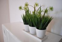 南地·海江南样板房