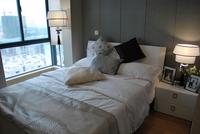 南地·海江南样板房