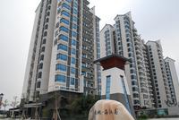 南地·海江南实景图2012-12-20