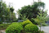 窑埠town 周边沿江公园