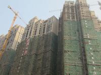 2012.10.11工程进度图