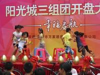 阳光城三组团5.20开盘