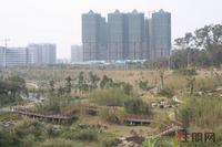 2012.2.14广源国际社区实景图