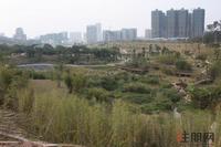 2012.2.14广源国际社区实景图