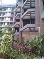同人·学府大道实景图(5.21)