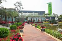 园林实景图