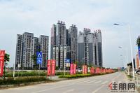 大嘉汇·东城实景图(6.17)