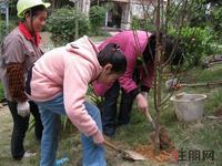 3月10日升禾·绿城幸福植树活动