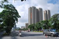 锦绣湾花园实景图2012-5-21