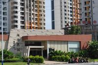 海湾茗园 实景图 