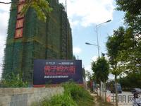 7.14凤岭·名筑实景图