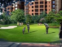 阳光草坡高尔夫2012-6-18
