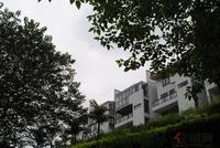 8.22大美天第实景图