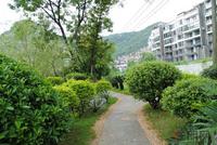 8.22大美天第联排湖景别墅实景图