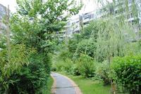 8.22大美天第联排湖景别墅实景图