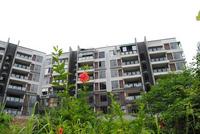 8.22大美天第实景图