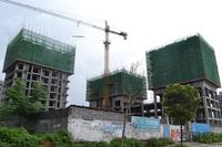 金领阳光实景图2012-6-18