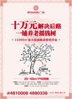 邕江明珠商业广场10.12广告