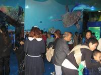 2012.11.24保利·爱琴海首届海洋节“广西大型海洋生物展”盛大开启