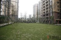 瑞和家园园林景观实景图(4·27)