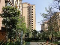 瑞和家园园林景观实景图(4·27)