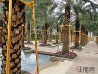 瑞和家园中轴水景实景图(4·27)