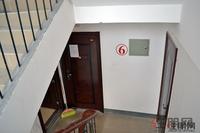 香堤雅院实景图(5.21)