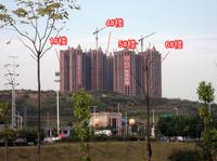 2012.10.31保利·童心缘实景图