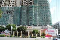 城市之春 实景图