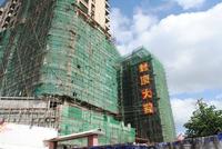 城市之春 实景图