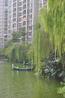 人和·莱茵湖畔实景图(10.31)