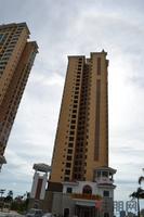 桐洋国际海岸实景