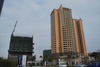 桐洋国际海岸 实景图