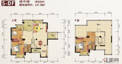 【5-DF】3室2厅1卫1厨5阳台