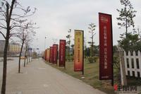 瑞和家园实景图(2.16)