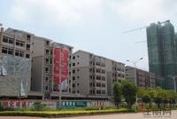 世纪星城·欣欣园 实景图