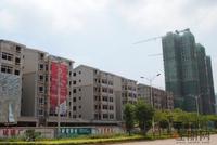 世纪星城·欣欣园 实景图