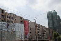 世纪星城·欣欣园 实景图