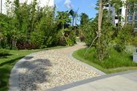 蓝海银湾实景图2012-9-18