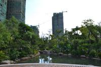 蓝海银湾实景图2012-9-18