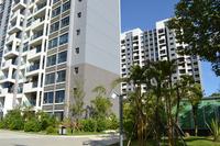 蓝海银湾实景图2012-9-18