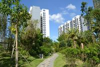 蓝海银湾实景图2012-9-18