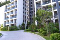 蓝海银湾实景图2012-9-18