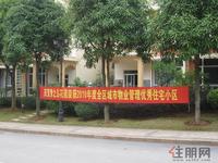 梦之岛花园实景图(1.12)