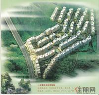 效果图