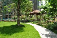 雄泰·香缇丽景5月实景图