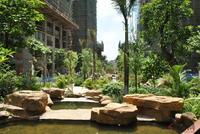 雄泰·香缇丽景5月实景图