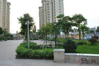 赛格·都邦国际5月实景图