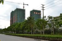 万基城·金领阳光实景图2012-9-19 